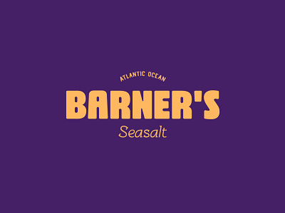 Barner's Seasalt logo design and branding branding design graphic design logo typography vector