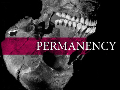 Permanency illustration inversion magenta permanency skull