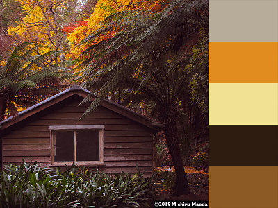 Autumn color palette autumn behance color colorpalette fall2020 fallcolors fallvibes graphicdesign inspiration photography resource sharing