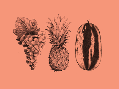 Fruit Sketches album art design drawing food fruit art grape graphic design illustration kpop pineapple red velvet watermelon