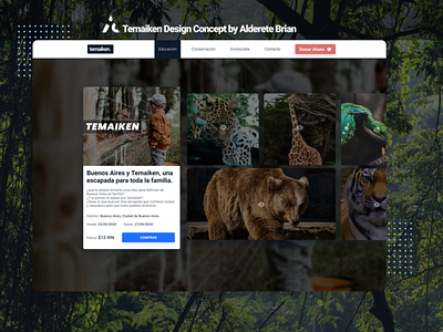 Zoo Concept Design animals figma ui design web web design zoo zoology