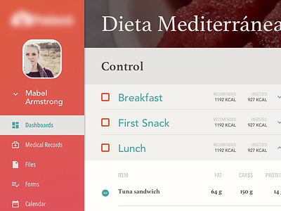Diet Dashboard II board colors comfort dashboard diet dieta health icons painel type typography wip