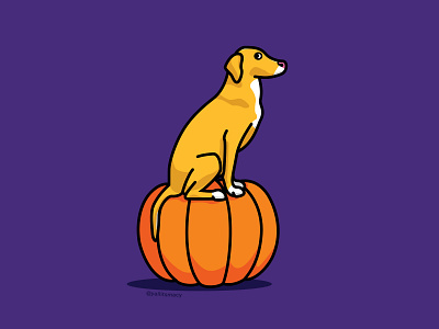 Pumpkin design dog dog illustration halloween illustration macy minimal october pet pumpkin spooky vector yellow lab