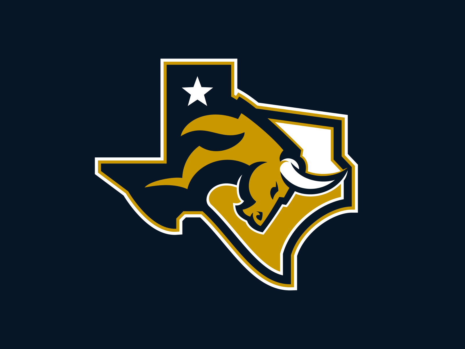 Fort Worth Toros Alternate by Matthew Doyle on Dribbble