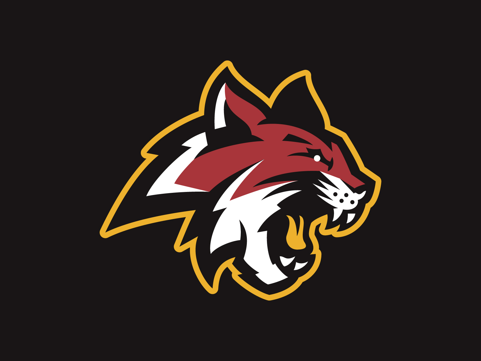 HHDP Wildcats by Matthew Doyle on Dribbble