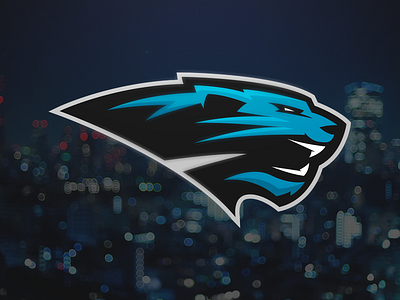 Panthers carolina cougars football matthew doyle nfl panthers sport logo wildcats