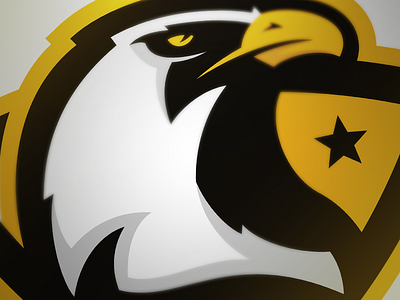 Eagles aggressive american brand cj zilligen eagle football fraser davidson hockey logo matthew doyle sport