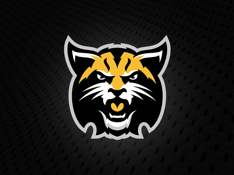 West Nipissing Lynx by Matthew Doyle on Dribbble