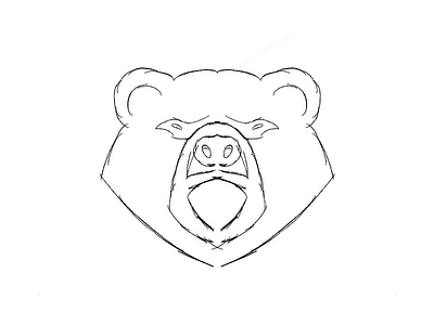 Bear by Matthew Doyle on Dribbble