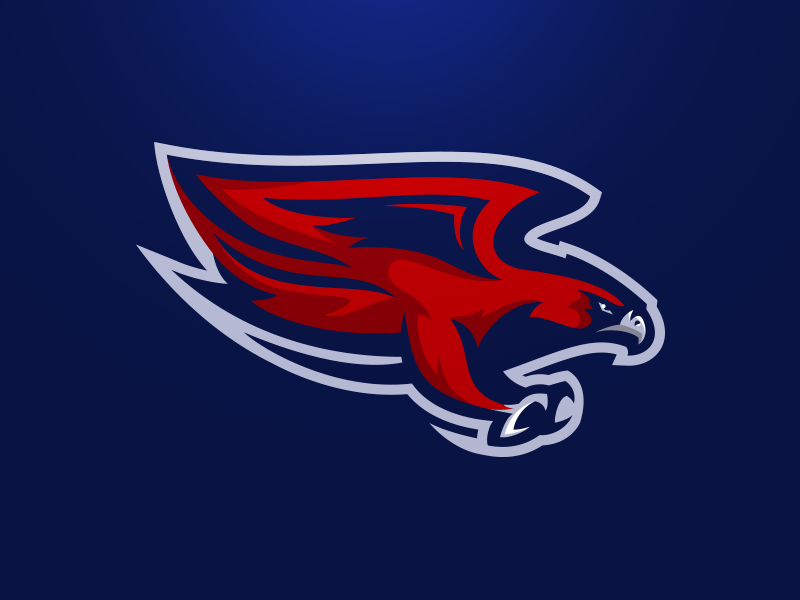 Carolina Skyhawks Secondary by Matthew Doyle on Dribbble