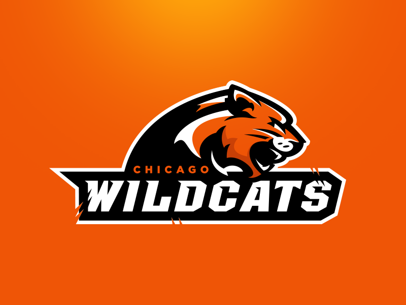 Chicago Wildcats Primary by Matthew Doyle on Dribbble