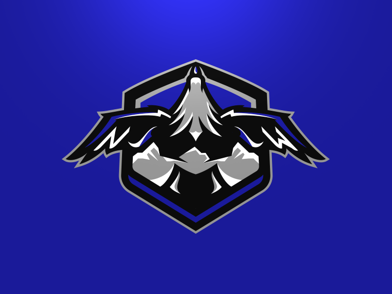 Denver Nightwings Secondary bird esports wings nightwings denver branding matt doyle team sport logo sport football animal brand design vector matthew doyle mascot sports logo