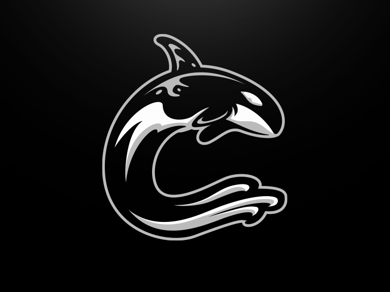 Charleston Predators Alternate wave predator water killer whale orca whale football brand mascot sports logo