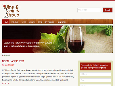 Wine & Spirits Group responsive web design wordpress