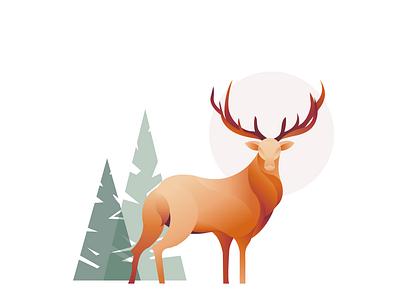 Stag Illustration branding deer design forest graphic graphic design illustraion logo orange stag vector