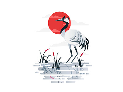 Crane Bird bird crane designer flat colours graphics gray illustration red reflection water white