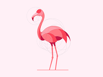 Flamingo animal mark bird circle geometry designer flamingo graphic design grid design illustration illustrator logo design logodesigner pink