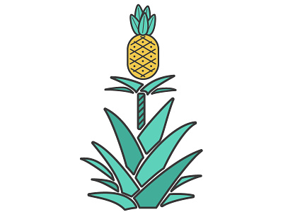 Pineapple Plant 2d animation fruit illustration motion motion design motion graphics outline pineapple plant vector