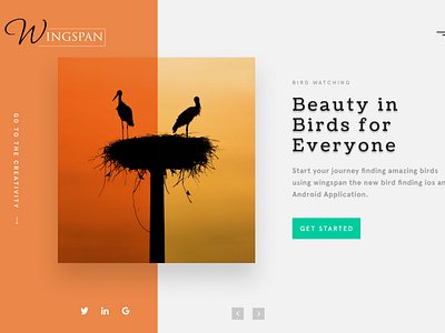 Wingspan Homepage Design