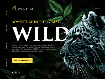 Adventure Wildlife Homepage Design design graphicdesign home screen homepagedesign illustration ui ui ux uidesign ux web