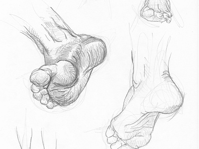 Anatomy Sketch anatomy design feet graphite illustration realism sketch