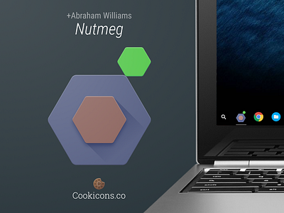 Nutmeg Product Icon icon web component