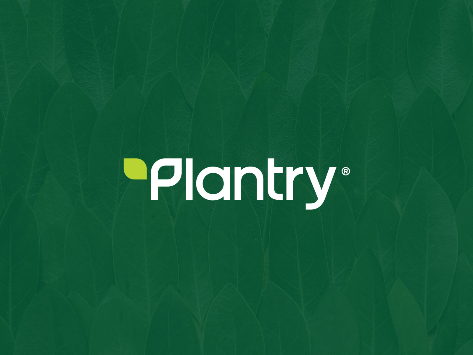 Plant Food Company: A Comprehensive Guide to the Booming Industry