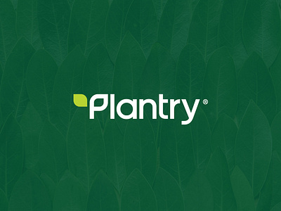 Winning Desing for Plantry, a plant based food company. branding clean design graphic design logo minimalist modern