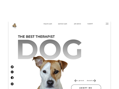 Pet Adoption Website Redesign figma petadoption ui ux website concept website design