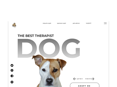 Pet Adoption Website Redesign