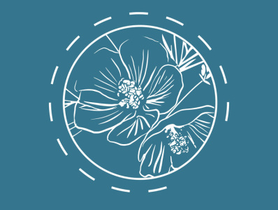 SaltWind branding illustration logo