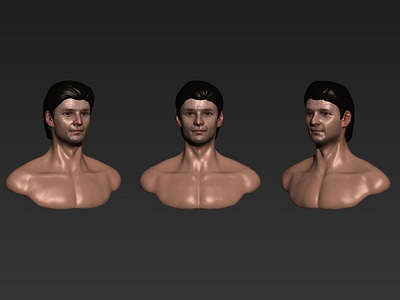 Male Head Anatomy Study