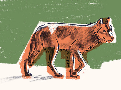 The illustrate wolf leads illustration photoshop procreate