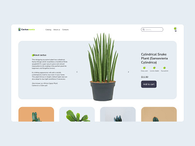 Cactus shop design ui ux website