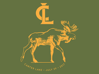Mountain Swim Series • Carter Lake 2017 art design event icon illustration logo swim typography