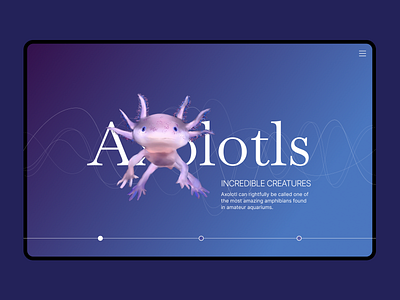 Axolotls list branding design graphic minimal ui web web design