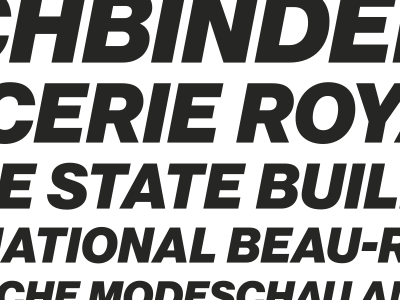 Waterfall specimen type:face=neue haas grotesk typography