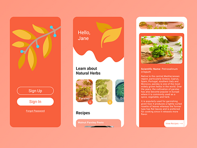 Herbs & Recipes App app design interaction design interface ui uiux ux uxuidesign vector