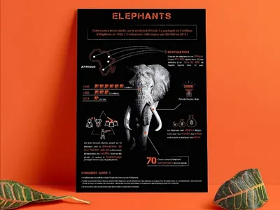 Data visualisation data visualisation data viz datavisualisation design elephant graphic design graphique design illustrator informations numbers