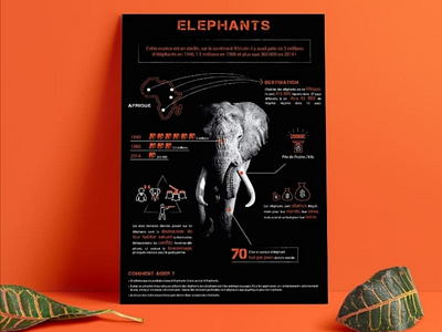 Data visualisation data visualisation data viz datavisualisation design elephant graphic design graphique design illustrator informations numbers