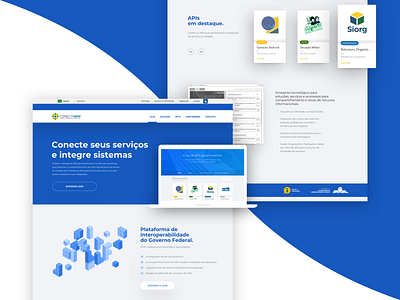 Landing page - Web api blue brazil card design government landing page page product store ui ui ux uiux uiux design ux design web
