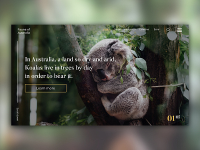 Fauna of Australia animal design natur ui ux web web design webdesigner webdesigns website