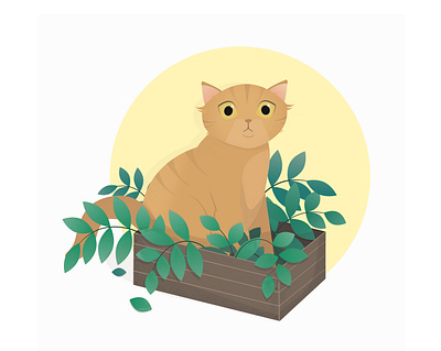 Cat in a box animal cat cat in box cats ginger cat pet plants