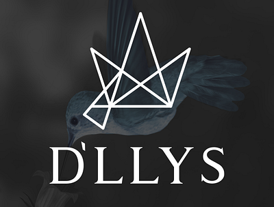 D`LLYS brand brand design branding crown designer fashion brand fashion design golden ratio goldenratio hummingbird logo