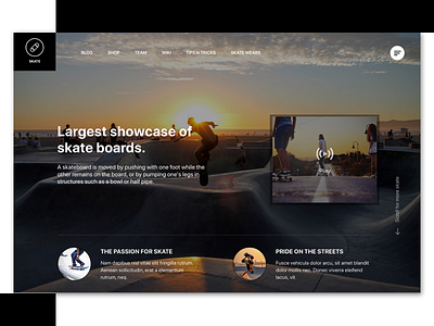 Skate UI #02