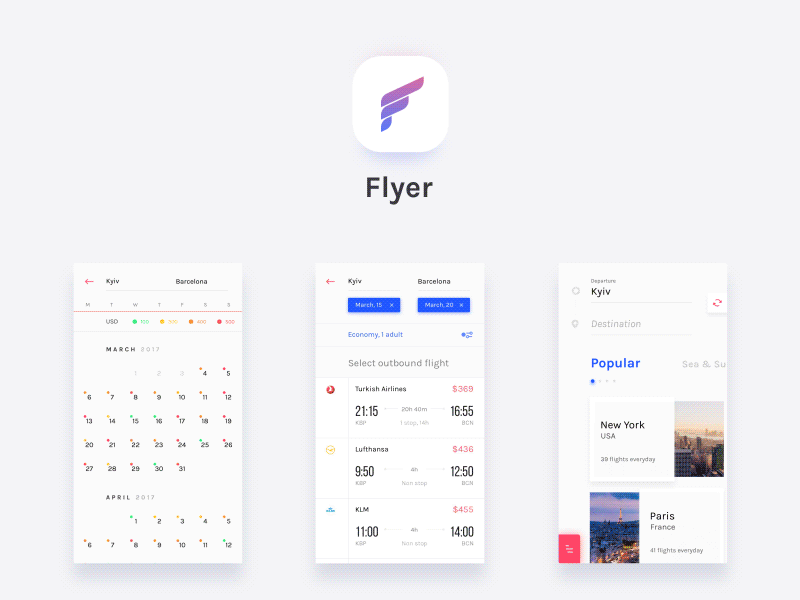 Flyer Flight Booking Case Study