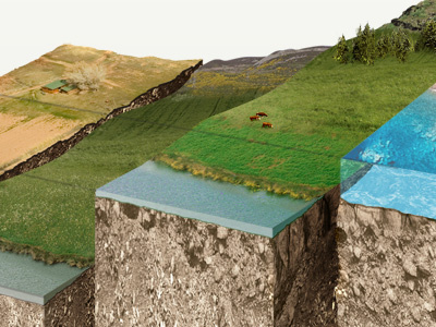 Improvement (detail) ecology green infographics landscape photoshop