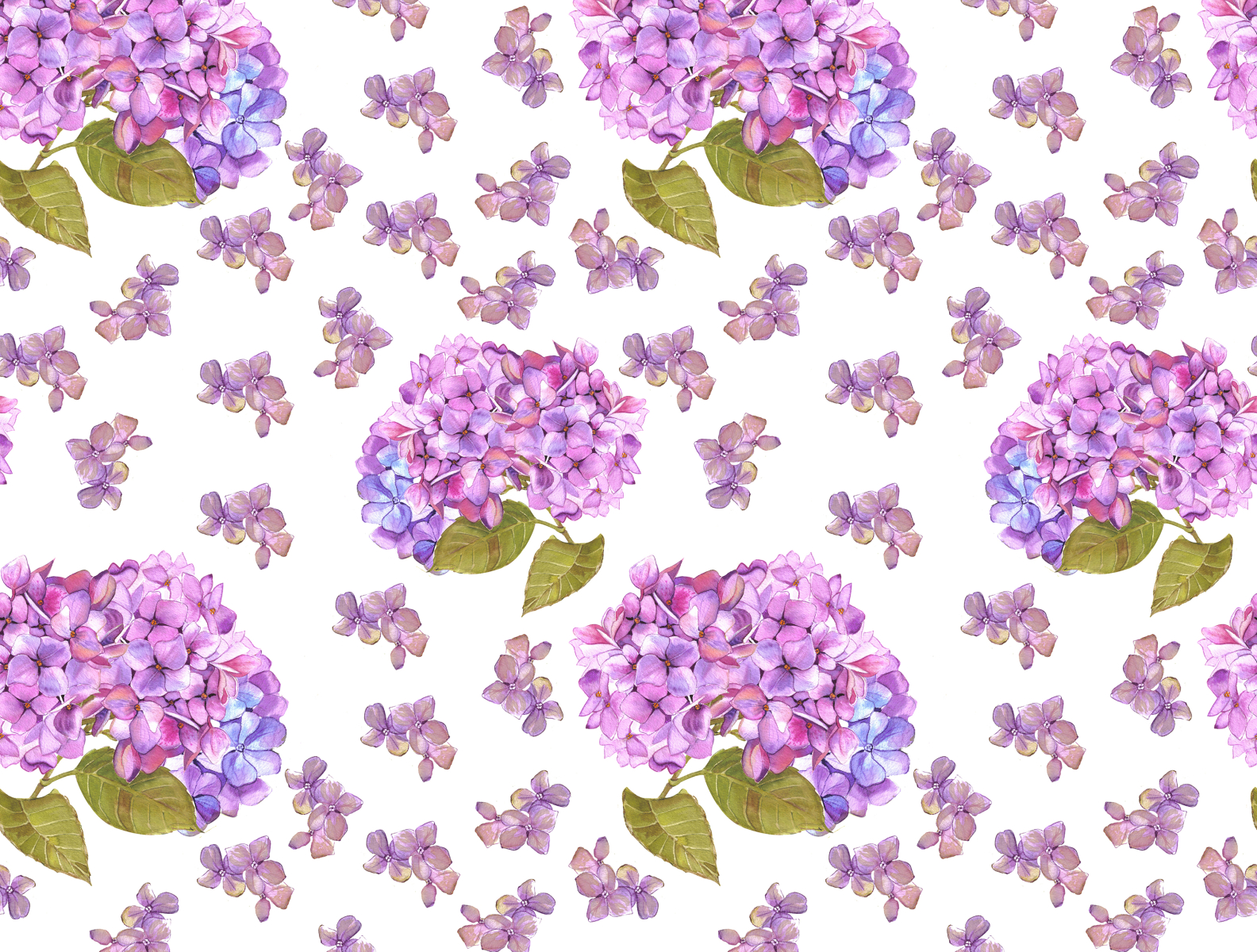 Hydrangea Patterns by Elenazlatomrezova on Dribbble