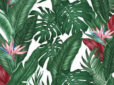 Tropical Wallpaper drawings illustration procreate tropical wallpaper