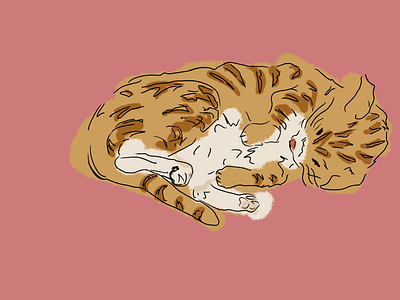 Afternoon nap cat illustration nap procreate sleepy